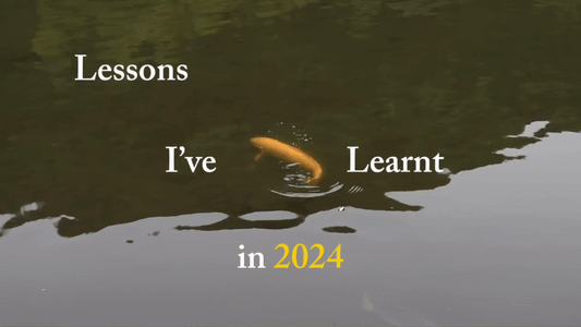 Lessons of 2024