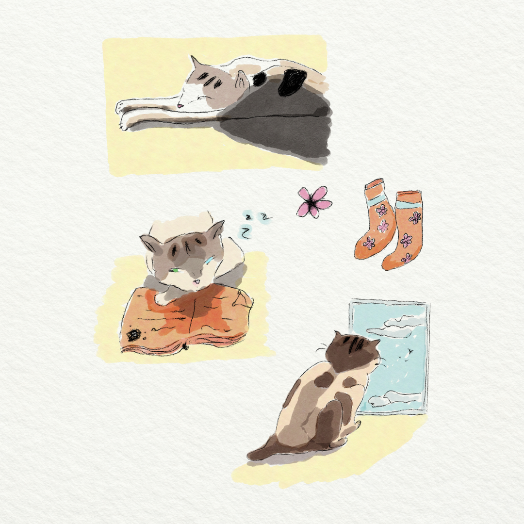 Blossom in liminal spaces: Sticker Sheet