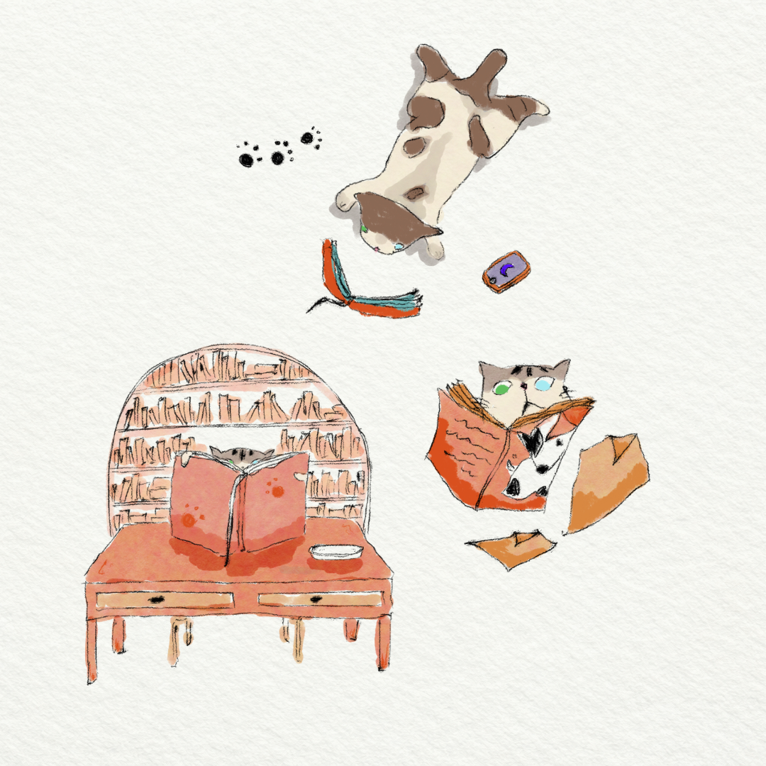 Blossom the curious cat: Sticker Sheet