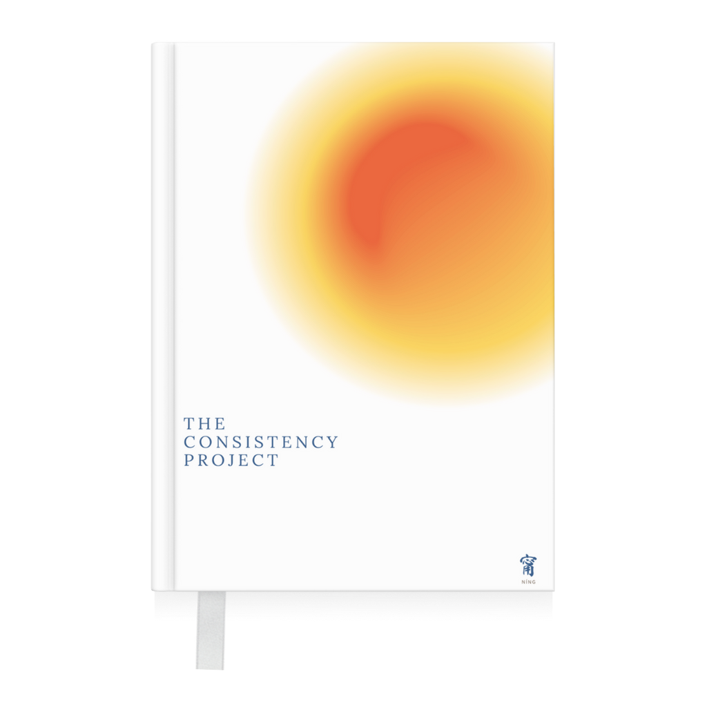 The Consistency Project